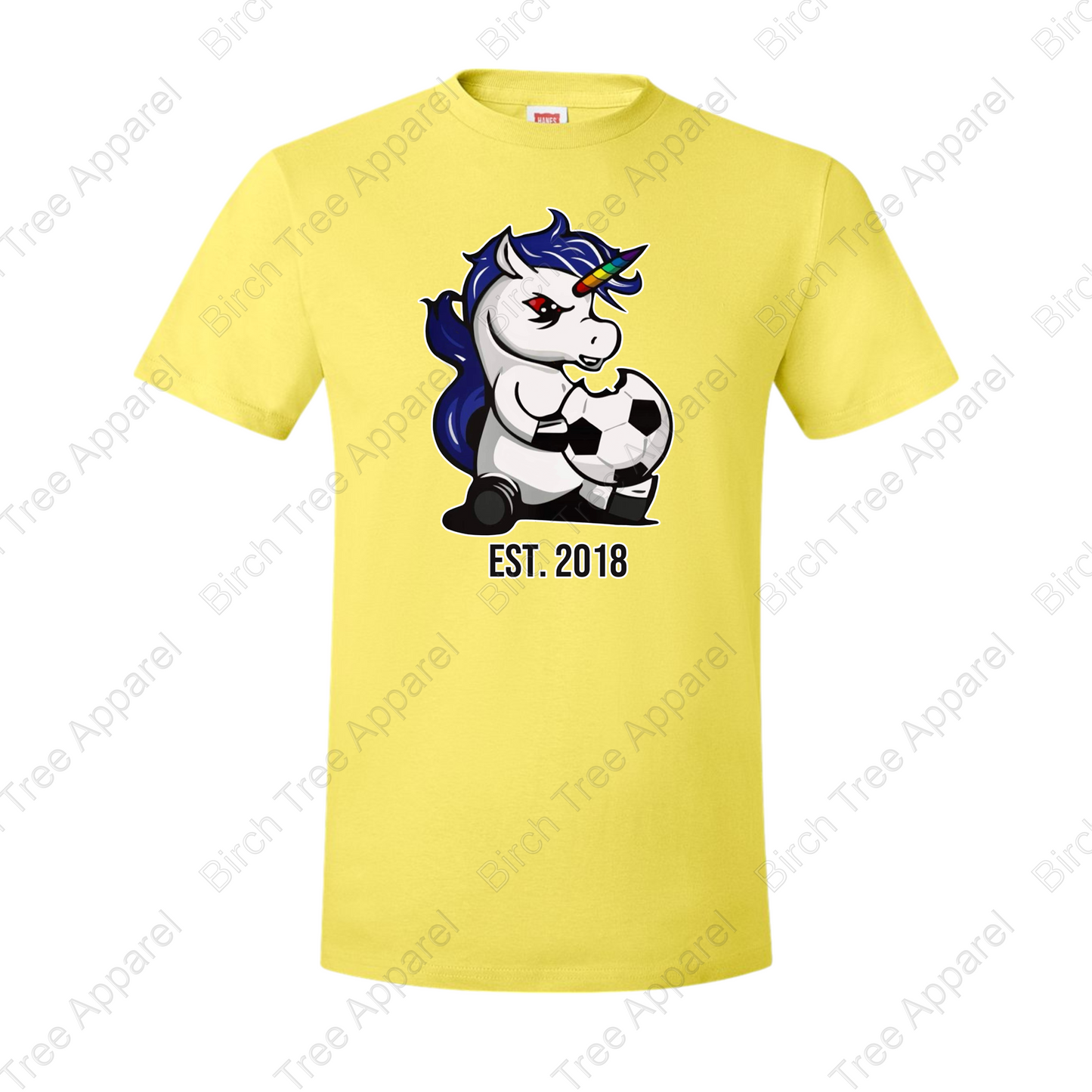 Unicorn Power Est. 2018 T-Shirt